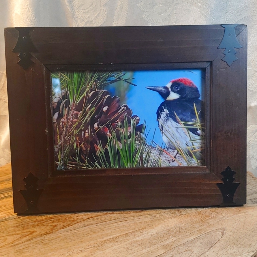 WOODPECKER PINE small Framed Photo, NEW
